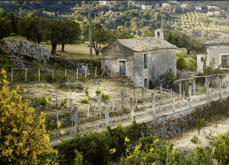 L’Eccellenza che nasce dal cuore della Calabria